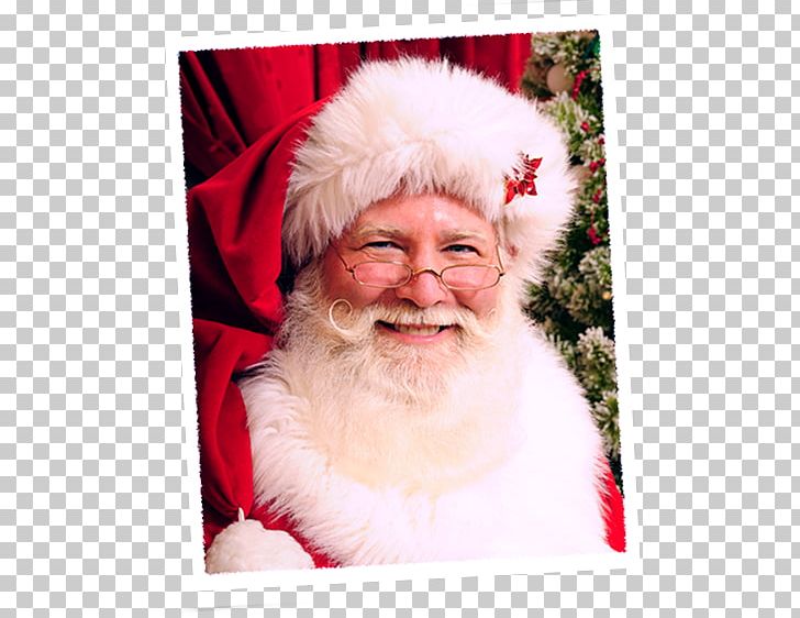Santa Claus Facial Hair Lap Christmas Beard PNG, Clipart, Beard, Character, Christmas, Christmas Ornament, Citizenm Free PNG Download