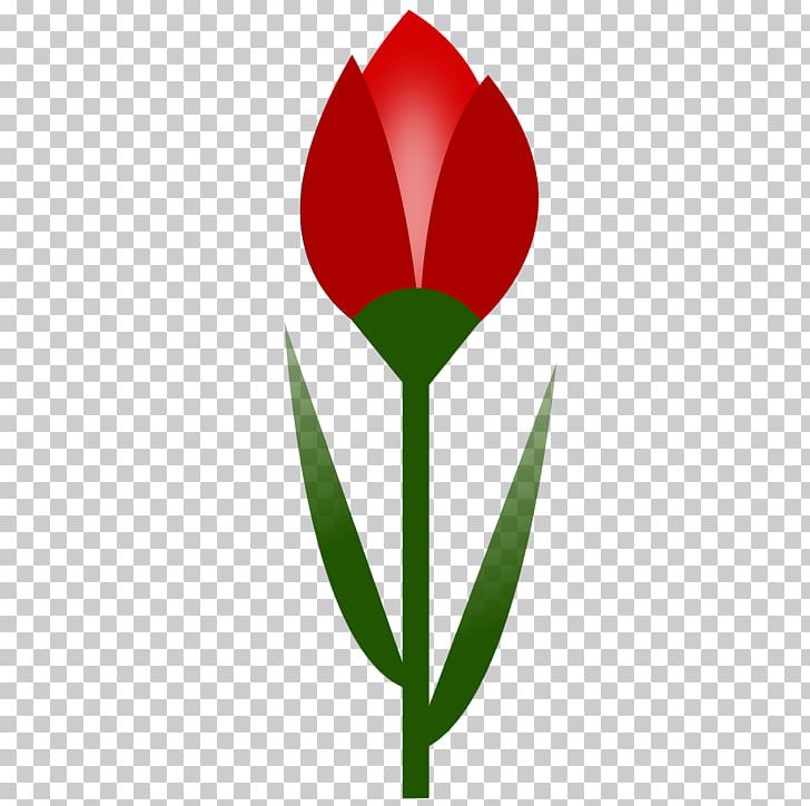 Flower Tulip Red PNG, Clipart, Blog, Color, Computer Icons, Computer Wallpaper, Drawing Free PNG Download
