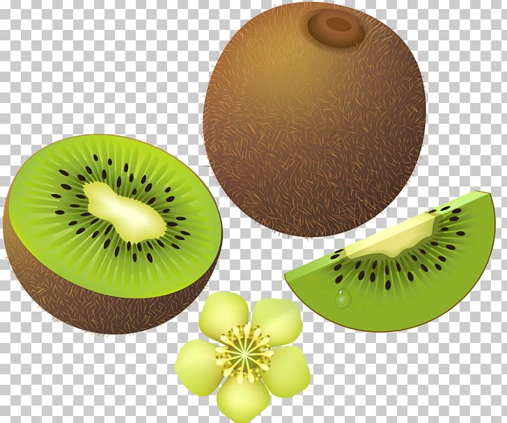 Kiwifruit Auglis PNG, Clipart, Actinidia, Actinidia Deliciosa, Art, Auglis, Decoupage Free PNG Download