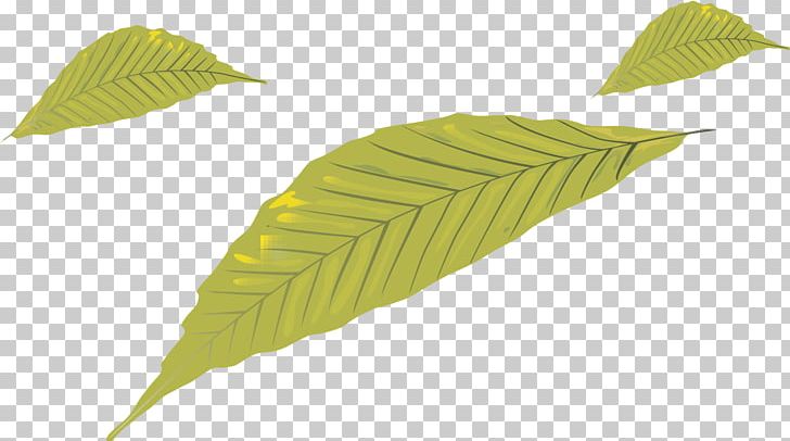 Leaf PNG, Clipart, Autumn Leaves, Banana Leaves, Fall Leaves, Green, Handdrawn Line Of Green Leaves Free PNG Download