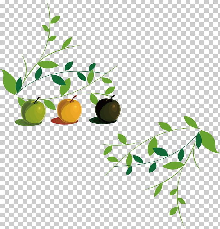 Stock Illustration Stock Photography Illustration PNG, Clipart, Apple Fruit, Apple Vector, Autumn Leaves, Banana Leaves, Beautiful Free PNG Download
