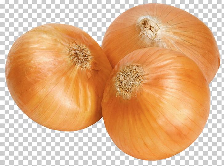 Calabaza White Onion PNG, Clipart, Butternut Squash, Calabaza, Clip Art, Computer Icons, Cucurbita Free PNG Download