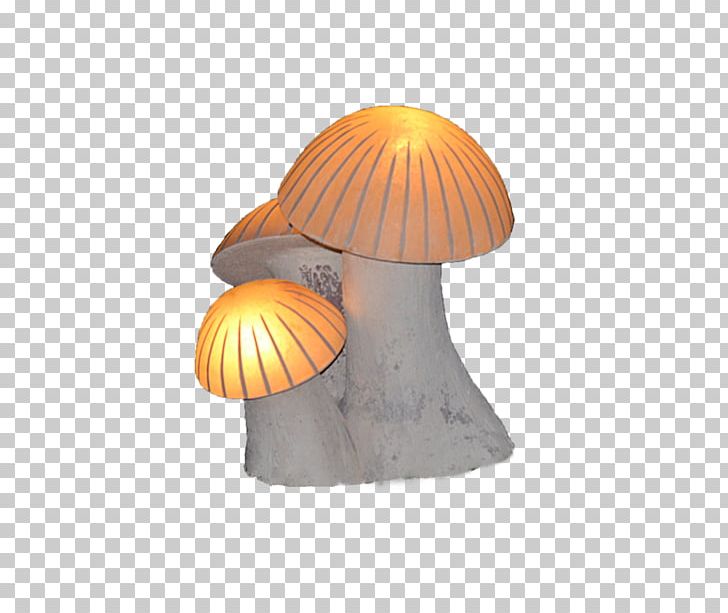 Mushroom Lighting PNG, Clipart, Lighting, Mushroom, Orange Free PNG Download