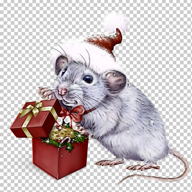 Hamster PNG, Clipart, Chinchilla, Degu, Fare, Gerbil, Grasshopper Mouse Free PNG Download