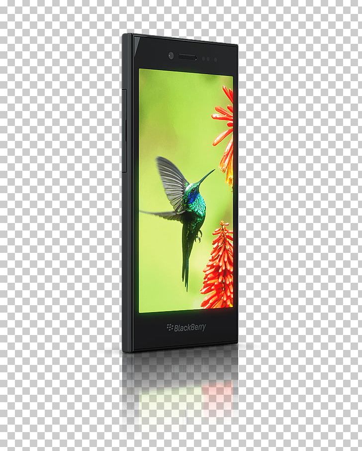 Smartphone BlackBerry Leap Tangguh Screen Protectors PNG, Clipart, Advertising, Display Advertising, Electronic Device, Electronics, Gadget Free PNG Download