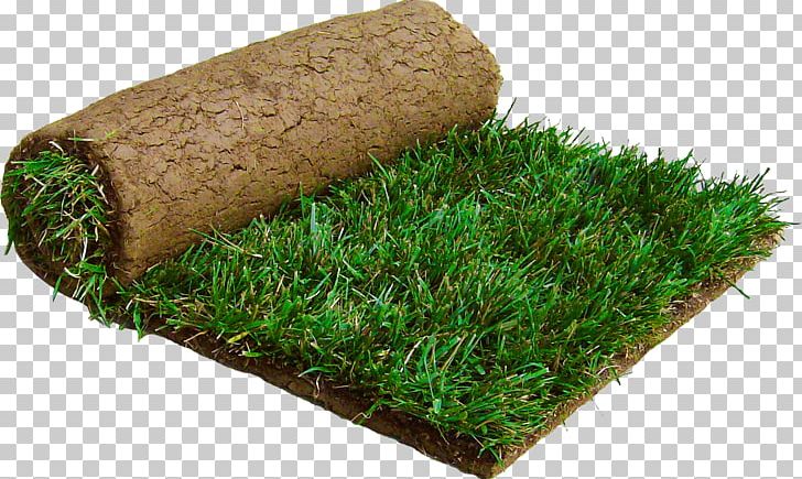 Sod Lawngrass Tall Fescue Kentucky Bluegrass PNG, Clipart, Central Sod Farms, Fescues, Front Yard, Garden, Garden Design Free PNG Download