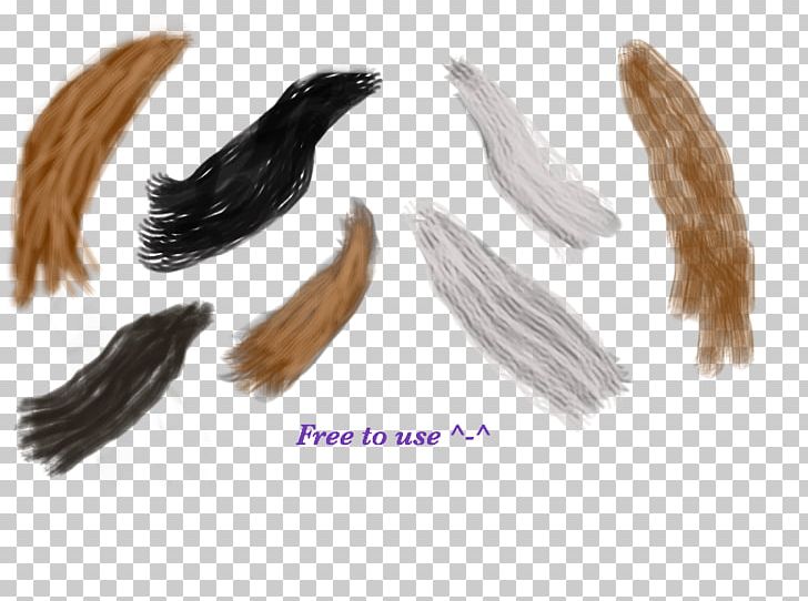 Tail PNG, Clipart, Tail Free PNG Download