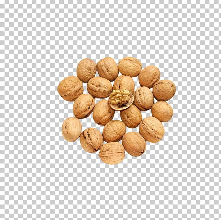 Walnut Euclidean PNG, Clipart, Adobe Illustrator, Element, Encapsulated Postscript, Firecracker, Food Free PNG Download