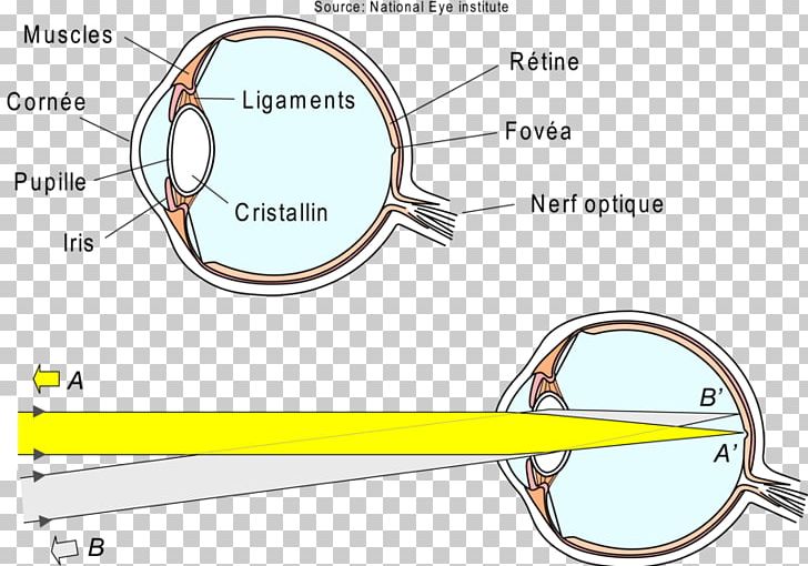 Light Eye Refraction Retina Visual Perception PNG, Clipart, Angle, Angular Resolution, Aqueous Humour, Area, Circle Free PNG Download