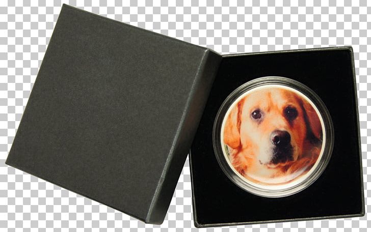 Silver Medal Silver Coin Argenture PNG, Clipart, Argenture, Birth, Box, Case, Dog Free PNG Download