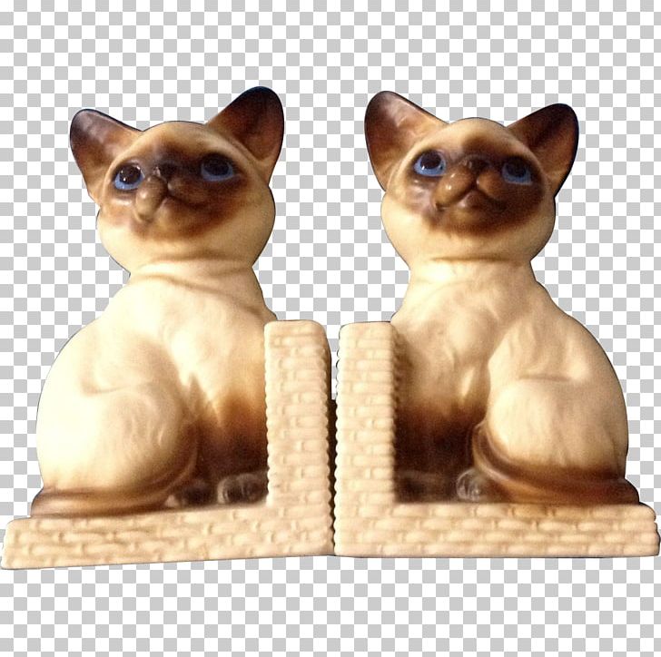 Whiskers Tonkinese Cat Kitten Dog Breed PNG, Clipart, Animals, Breed, Burmese, Carnivoran, Cat Free PNG Download