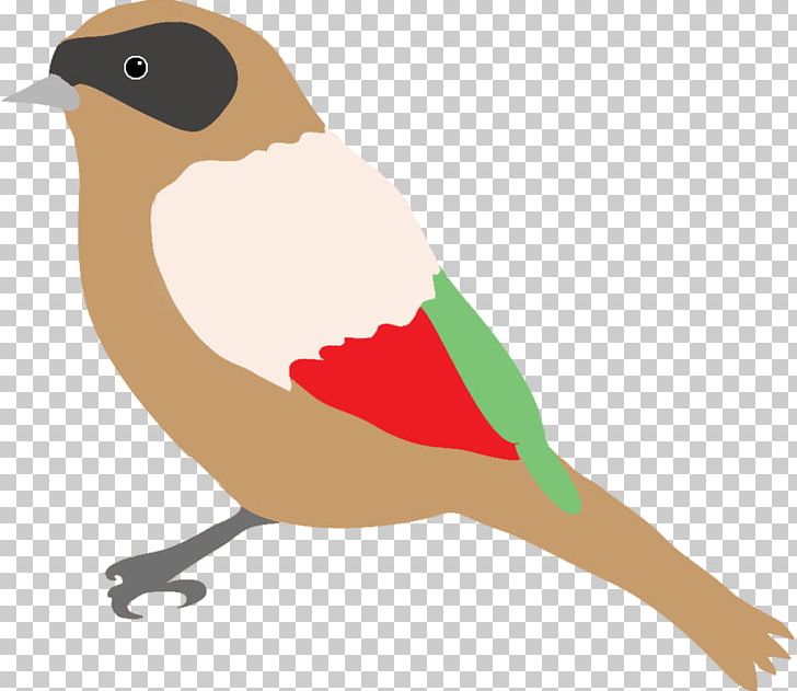 Bird European Robin Sparrow Drawing PNG, Clipart, Animals, Bald Eagle, Beak, Bird, Color Free PNG Download