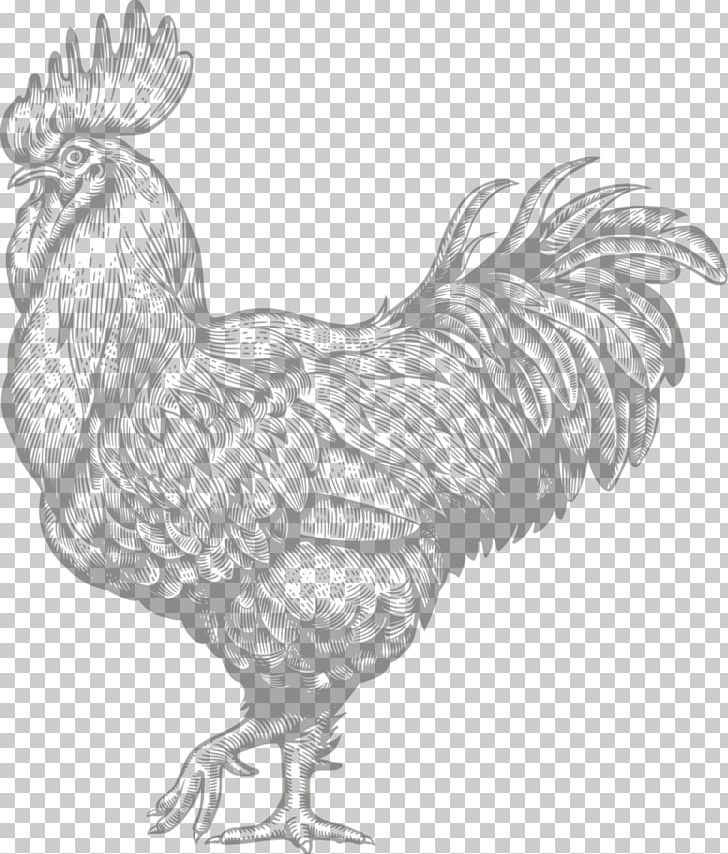 Rooster Chicken Engraving Farm PNG, Clipart, Animals, Barn, Beak, Bird, Black And White Free PNG Download