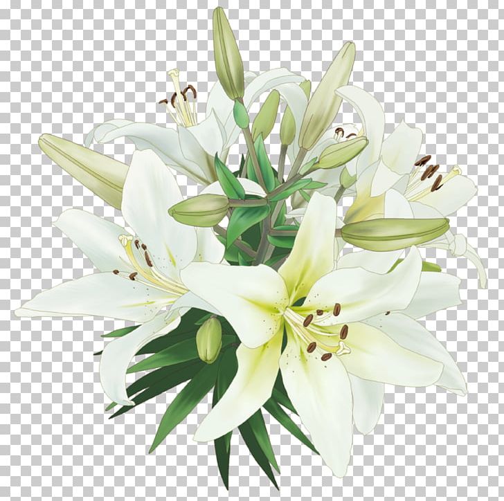 Drawing For Kids PNG, Clipart, Artificial Flower, Callalily, Cut Flowers, Deviantart, Download Free PNG Download