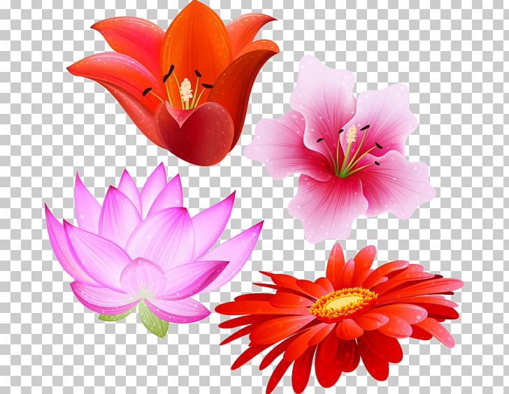 Flower Joy Author Birthday Happiness PNG, Clipart, 2016, 2017, Aquatic Plant, Author, Birthday Free PNG Download