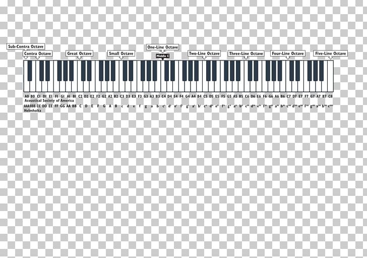 Musical Note Scientific Pitch Notation Octave Human Voice PNG, Clipart, Digital Piano, Electronic Instrument, Electronic Musical Instrument, Electronic Musical Instruments, Human Voice Free PNG Download