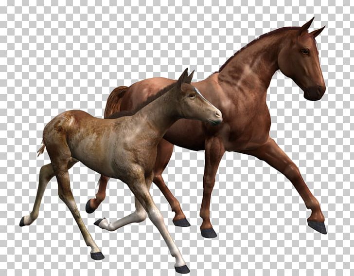 Breyer Animal Creations Model Horse Foal Mare PNG, Clipart, Amazoncom, Animals, Breyer Animal Creations, Bridle, Caballo Free PNG Download