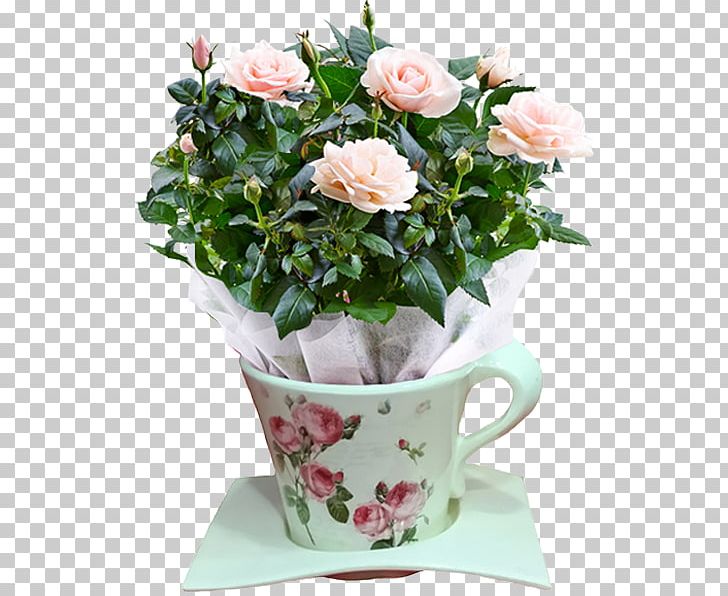 Garden Roses Cabbage Rose Cut Flowers Flowerpot PNG, Clipart, Artificial Flower, Ceramic, Cottonwood, Cut Flowers, Floral Design Free PNG Download