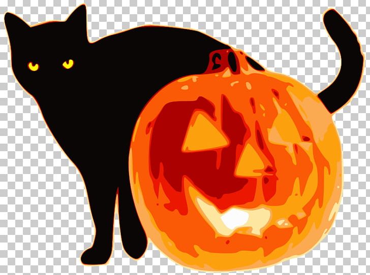 Jack-o'-lantern Kitten Whiskers Cat Halloween PNG, Clipart,  Free PNG Download
