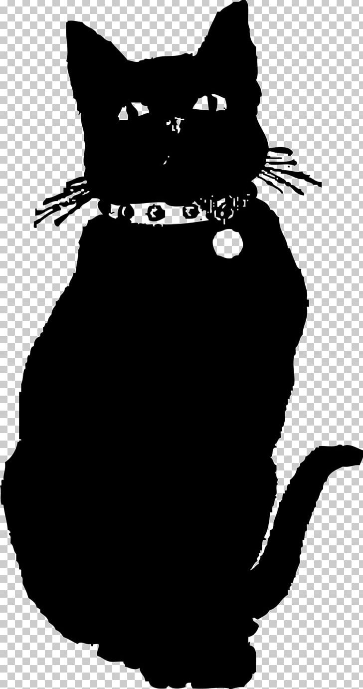 The Black Cat Kitten PNG, Clipart, Black, Black And White, Carnivoran, Cat, Cat Like Mammal Free PNG Download