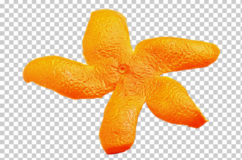 Orange PNG, Clipart, Chenpi, Clementine, Highdefinition Video, Line Art, Mandarin Orange Free PNG Download