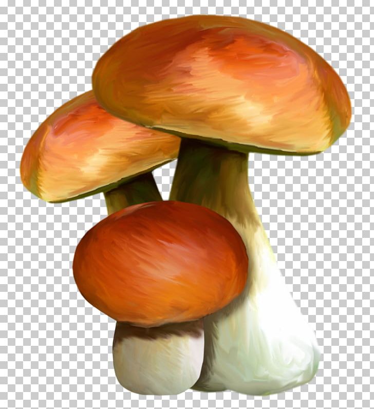 Edible Mushroom Watercolor Painting PNG, Clipart, Download, Edible, Edible Mushroom, Ingredient, Mushroom Free PNG Download