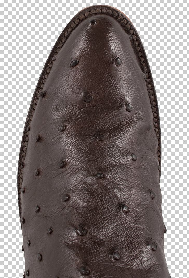 Lucchese Boot Company Shoe Common Ostrich Pinto Ranch PNG, Clipart, Boot, Common Ostrich, Female, Footwear, Ladies Hand With Marker Pen Free PNG Download