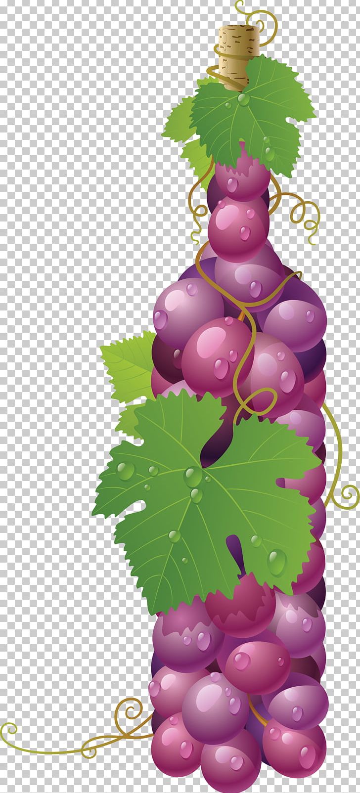 Wine Common Grape Vine Art Painting PNG, Clipart, Common Grape Vine, Encapsulated Postscript, Food, Free, Fruit Free PNG Download