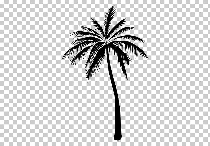 Arecaceae Tree Silhouette Drawing PNG, Clipart, Arecaceae, Arecales, Asian Palmyra Palm, Black And White, Borassus Flabellifer Free PNG Download