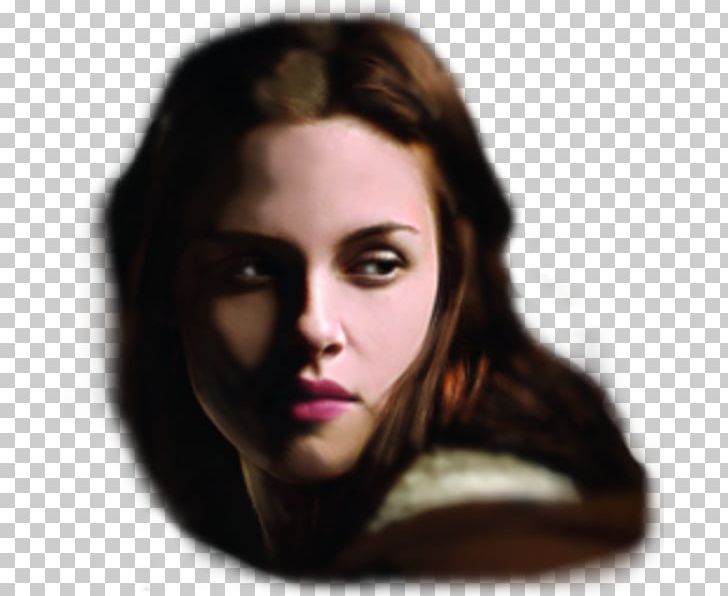 Computer Icons The Twilight Saga: New Moon PNG, Clipart, Beauty, Bmp File Format, Brown Hair, Chin, Computer Icons Free PNG Download