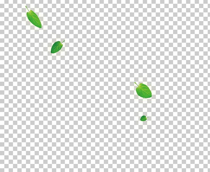 Green Area Angle Pattern PNG, Clipart, Angle, Area, Autumn Leaves, Banana Leaves, Circle Free PNG Download