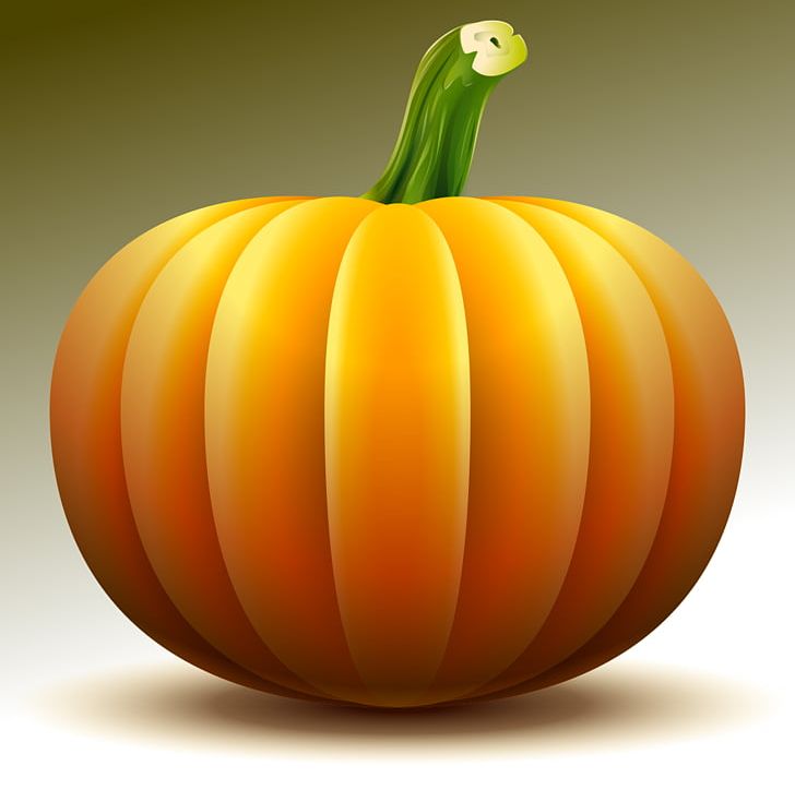 Jack-o'-lantern Pumpkin Pie Gourd Drawing PNG, Clipart, Calabaza, Cucurbita, Drawing, Food, Fruit Free PNG Download