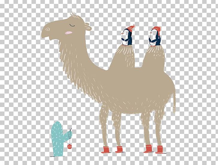 Camel Falling In Love Illustration PNG, Clipart, Animal, Animals, Arabian Camel, Boyfriend, Camel Free PNG Download