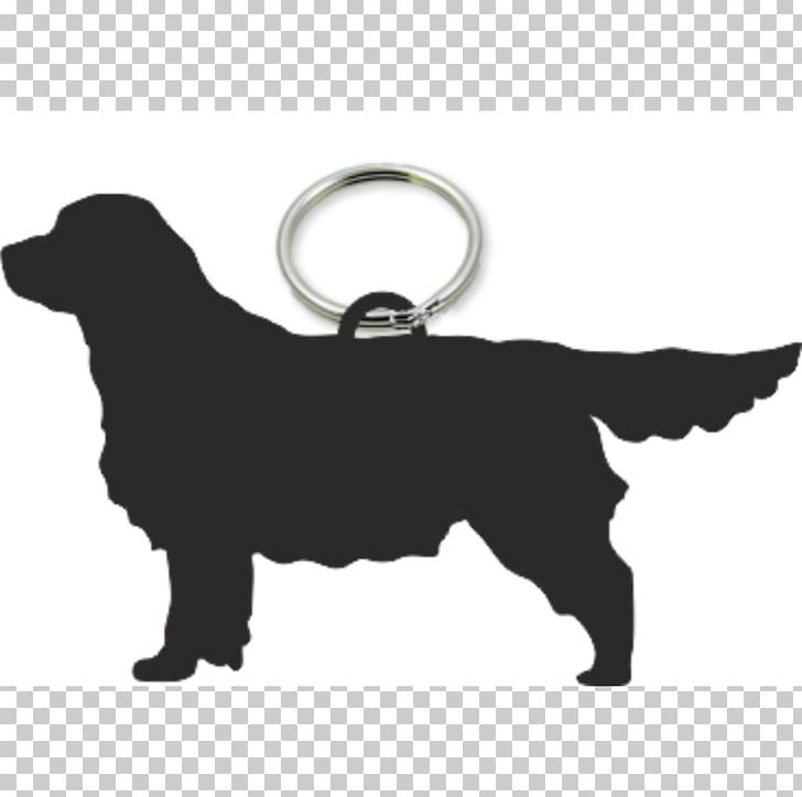 Labrador Retriever Dog Breed Puppy Leash PNG, Clipart, Animal, Animals, Canidae, Carnivora, Carnivoran Free PNG Download