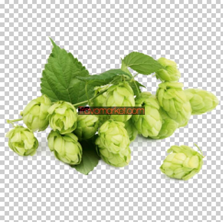 Beer Brewing Grains & Malts Ale Extract PNG, Clipart, Ale, Beer, Beer Brewing Grains Malts, Brewery, Common Hop Free PNG Download