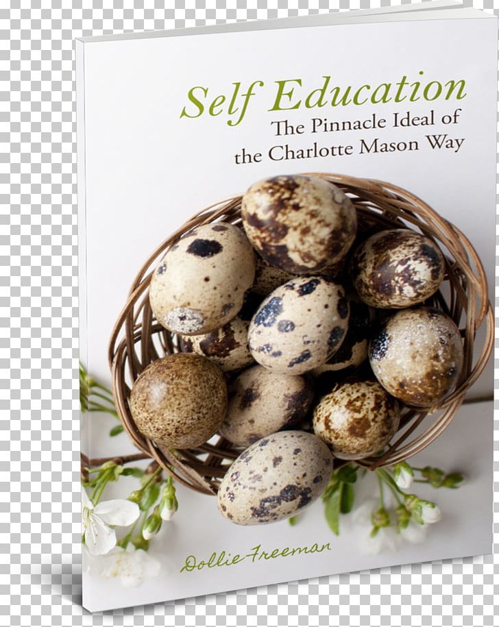 Charlotte Mason Homeschool: Volume 1 Home Education Homeschooling Elementary School 0 PNG, Clipart, 2017, 2018, 2019, Charlotte Mason, Course Free PNG Download