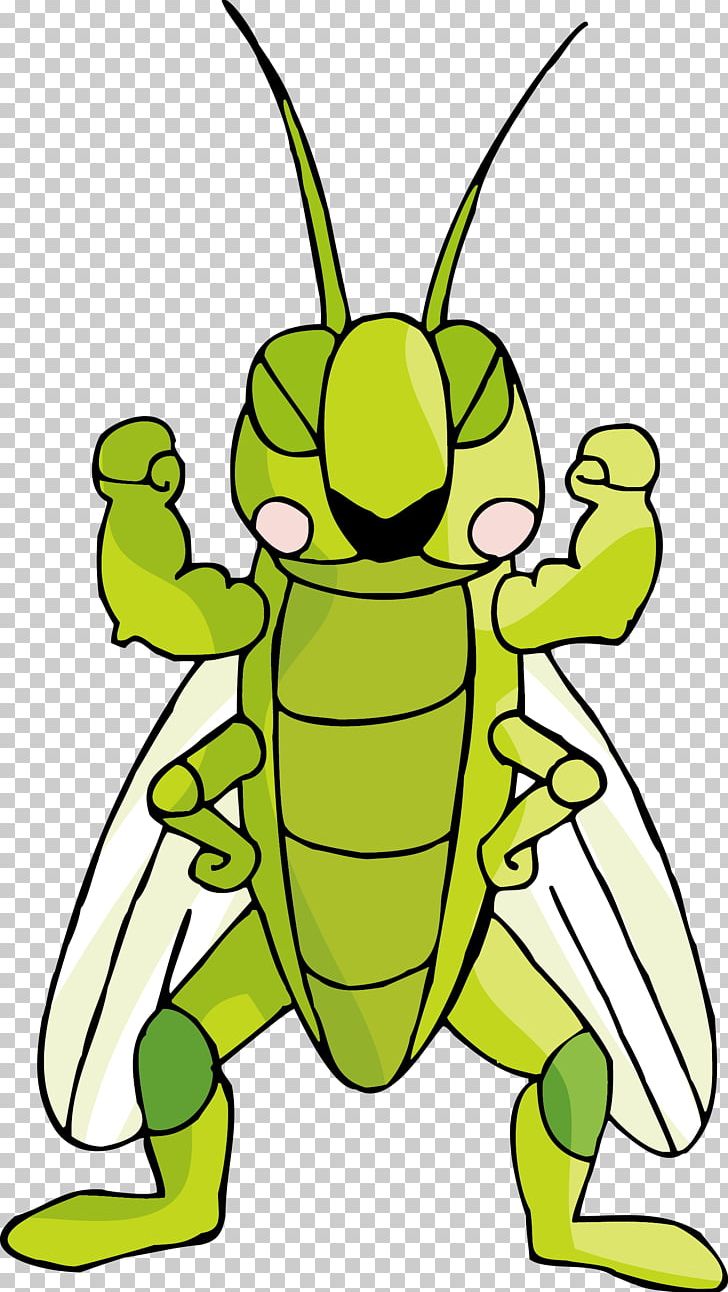 Insect Cartoon Locust Illustration PNG, Clipart, American Cockroaches, Animal, Animals, Artwork, Caelifera Free PNG Download