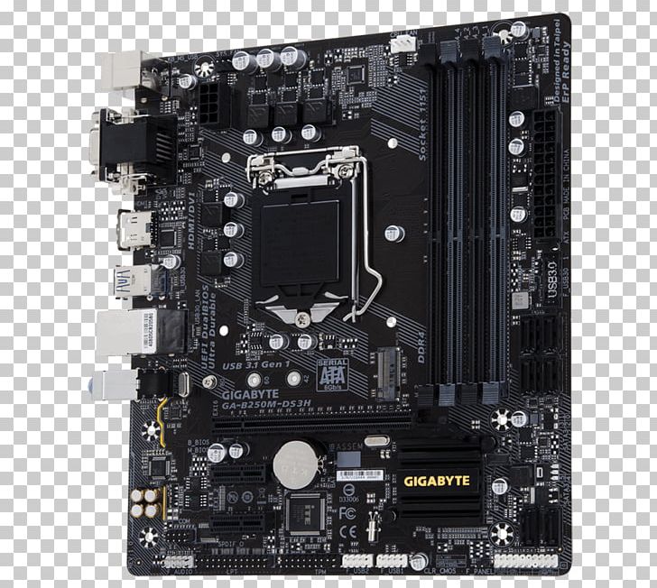 Intel LGA 1151 Motherboard GIGABYTE GA-B250M-DS3H Gigabyte Technology PNG, Clipart, Atx, Central Processing Unit, Computer, Computer Hardware, Electronic Device Free PNG Download