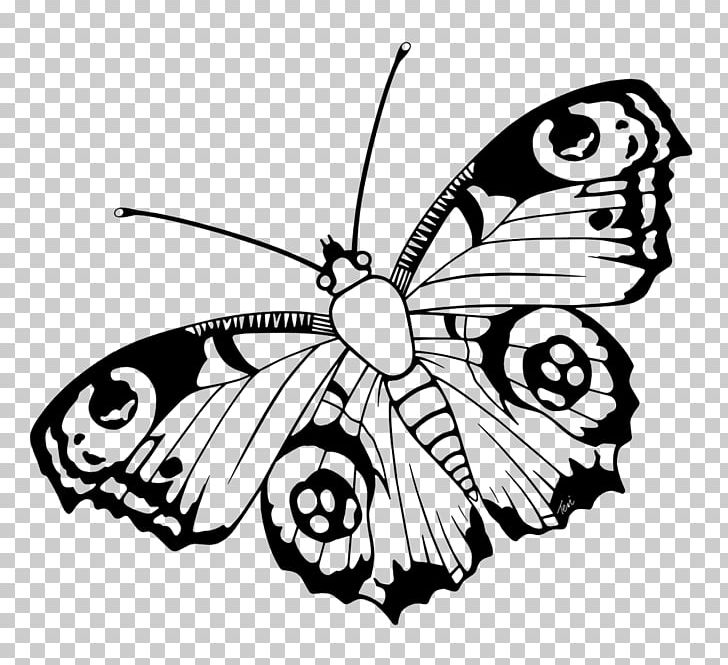Butterfly Insect Visual Arts PNG, Clipart, Animals, Arthropod, Artwork, Brush Footed Butterfly, Digital Image Free PNG Download