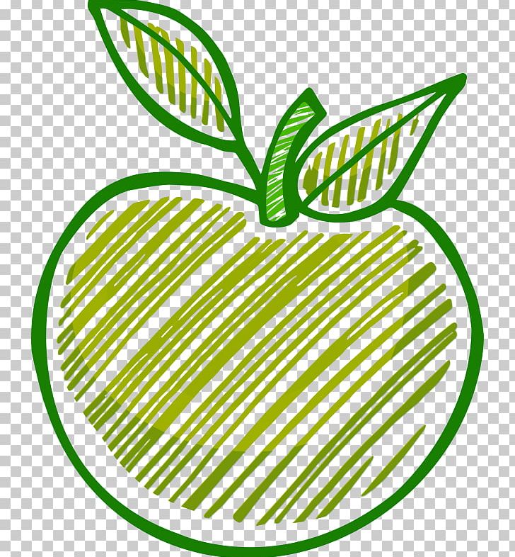 Drawing MacBook Apple PNG, Clipart, Apple, Area, Commodity, Download, Drawing Free PNG Download