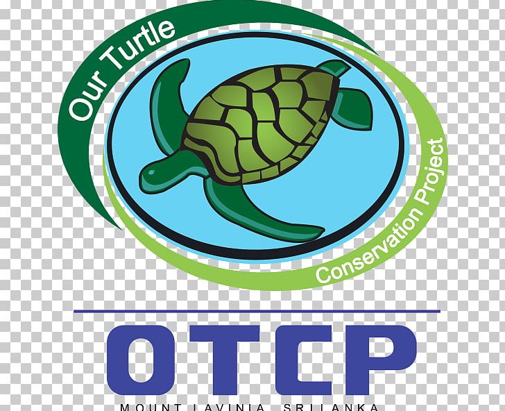 Endangered Sea Turtles Sea Turtle Restoration Project Tortoise PNG, Clipart, Animals, Area, Artwork, Brand, Conservation Free PNG Download