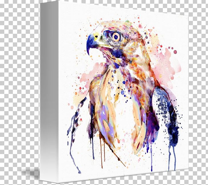 Hawk Watercolor Painting Bird Art PNG, Clipart, Art, Beak, Bird, Bird Of Prey, Birds Of Prey Free PNG Download
