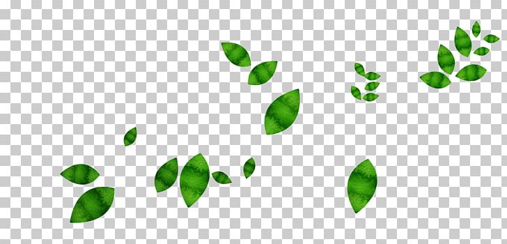 Leaf Green PNG, Clipart, Background Green, Color, Download, Euclidean Vector, Fall Leaves Free PNG Download