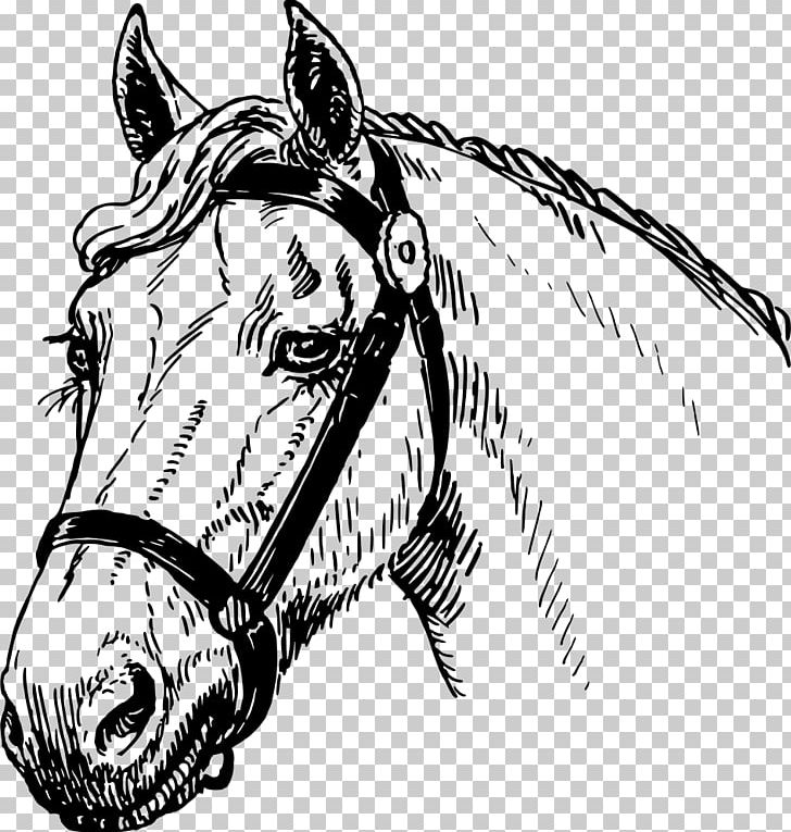 Mustang Arabian Horse Stallion Pony Drawing PNG, Clipart, Art, Black, Carnivoran, Fauna, Fictional Character Free PNG Download