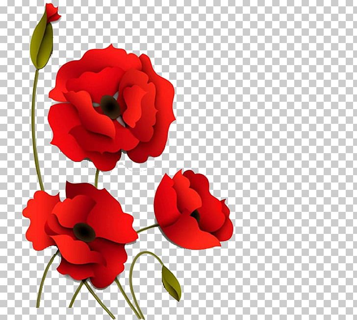 Poppy Flowers Paper PNG, Clipart, Common Poppy, Coquelicot, Flower, Flower Bouquet, Flowers Free PNG Download