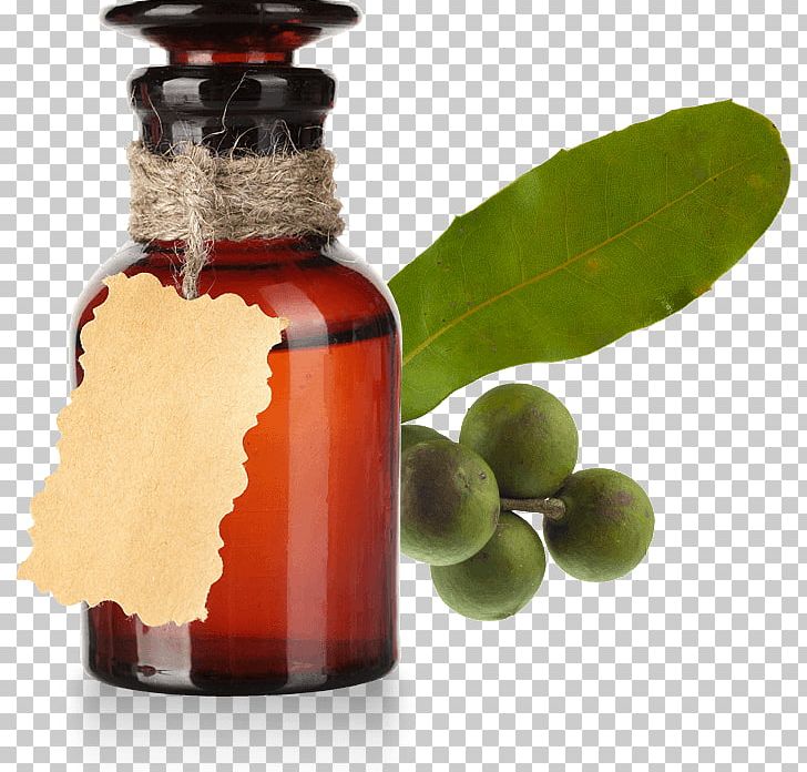 Macadamia Oil Vegetable Oil Castor Oil Essential Oil PNG, Clipart, Bottle, Castor Oil, Coconut Oil, Cooking Oils, Essential Oil Free PNG Download