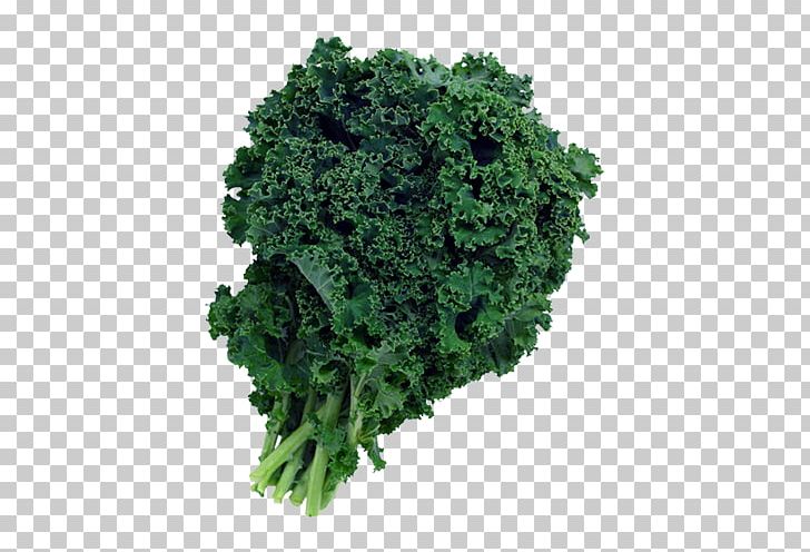 Smoothie Juice Chinese Broccoli Leaf Vegetable PNG, Clipart, Aonori, Brassica Oleracea, Broccoli, Chinese Broccoli, Collard Greens Free PNG Download