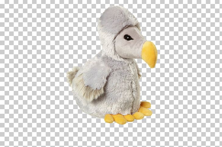 Bird Dodo Stuffed Animals & Cuddly Toys Plush PNG, Clipart, Animals, Beak, Bird, Bird Of Prey, Dinosaur Free PNG Download