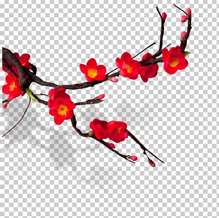 Chinese New Year Plum Blossom Red PNG, Clipart, Bainian, Bloom, Blossom, Branch, Cdr Free PNG Download