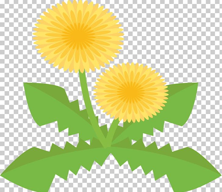 Tanpopo Common Dandelion PNG, Clipart, Art, Book Illustration, Common Dandelion, Daisy Family, Dandelion Free PNG Download